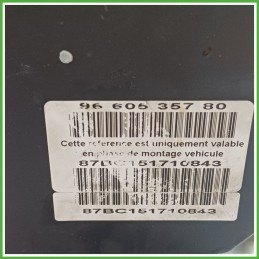 Centralina ABS Modulo Pompa BOSCH 0265950374 4541J3 PEUGEOT 307 Originale Usato
