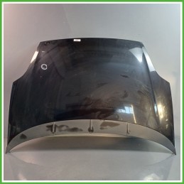 Cofano Motore NERO FIAT PUNTO EVO 3J 2009 2013 Berlina Originale Usato