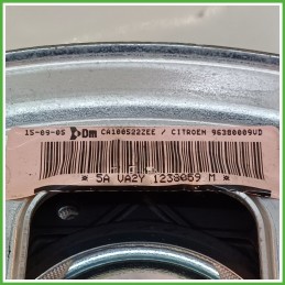 Airbag Guidatore Sinistro SX CITROEN C3 1a Serie 1.4 4112HH 2002 2005 DM DALPHIMETAL CA1005522ZEE