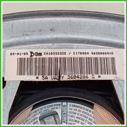 Airbag Guidatore Sinistro SX CITROEN C3 2a Serie 1.1 4112HH 2005 2010 DM DALPHIMETAL CA103323ZE