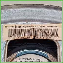 Airbag Guidatore Sinistro SX CITROEN C3 2a Serie 1.1 4112HH 2005 2010 DM DALPHIMETAL CA100523ZEE
