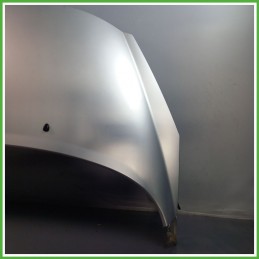 Cofano Motore GRIGIO PEUGEOT 207 2006 2009 Station Wagon Originale Usato