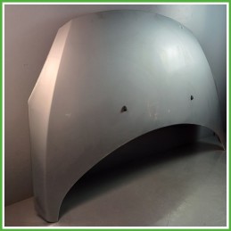 Cofano Motore GRIGIO PEUGEOT 307 2001 2006 Berlina Originale Usato
