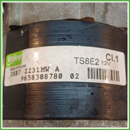 Motorino Avviamento VALEO TS8E2 CITROEN C3 2a Serie 5802M9