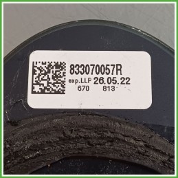 Cristallo Laterale Fisso Posteriore Sinistro SX DACIA DUSTER 833070057R 2018 2022