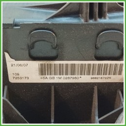 Airbag Guidatore Sinistro SX PEUGEOT 307 2.0 16V 4112HW 2005 2008 AUTOLIV