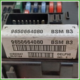 Body Computer Centralina Modulo BCM BSI DELPHI BSM-B3 PEUGEOT 307 1.4 16V 965066480 2001 2006