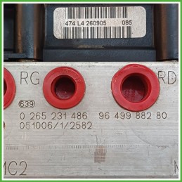 Centralina ABS Modulo Pompa BOSCH 0265800395 4541J1 PEUGEOT 307 Originale Usato