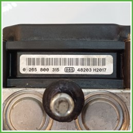 Centralina ABS Modulo Pompa BOSCH 0265800315 71718843 FIAT PUNTO 1N/1P Originale Usato