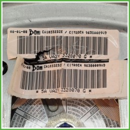 Airbag Guidatore Sinistro SX CITROEN C3 2a Serie 1.1 4112HH 2005 2010 DM DALPHIMETAL CA103323ZE