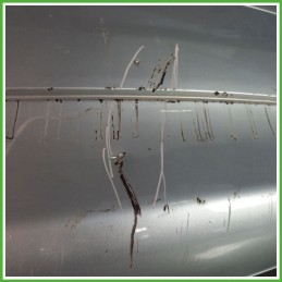 Paraurti Posteriore CITROEN C3 2a Serie Berlina GRIGIO - EZR - VERNICE GRIGIO ALLUMINIO 7410Z3 2005 2010 Originale Usato