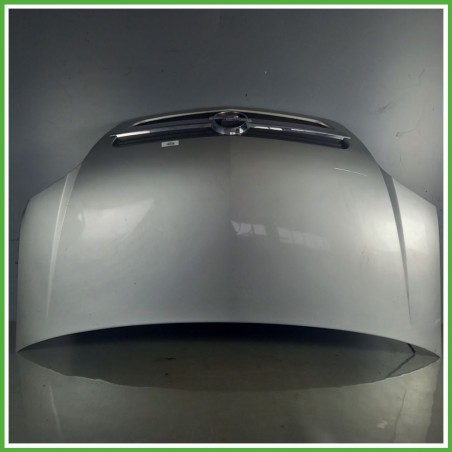 Cofano Motore GRIGIO OPEL MERIVA X03 2003 2010 Monovolume Originale Usato