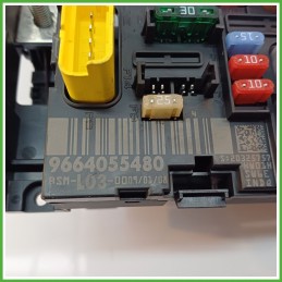 Body Computer Centralina Modulo BCM BSI DELPHI BSM-L03-00 CITROEN C3 2a Serie 1.1 9664055480 2005 2010