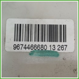 Pompa Carburante Elettrica PEUGEOT 208 1.2 12V 9674466680 2012 2015 PEUGEOT 550636.12
