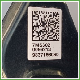 Pinze Freno Posteriore Destro DX PEUGEOT 2008 1672362580 2019 TRW OM777A