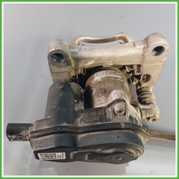 Pinze Freno Posteriore Destro DX PEUGEOT 2008 1672362580 2019 TRW OM777A