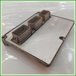 Centralina Motore Iniezione ECU VISTEON ESU-131 FORD FOCUS C-MAX CAP 2.0 16V 107kw 1307319 2003 2008