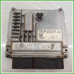 Centralina Motore Iniezione ECU DELPHI 28445556 VOLKSWAGEN GOLF 5K/AJ 1.6 TDI 77kw 4L907445B 2008 2012