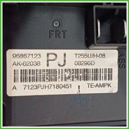 Body Computer Centralina Modulo BCM BSI TYCO AK-62038 CHEVROLET (DAEWOO) AVEO T250 1.2 96867123 2008 2012