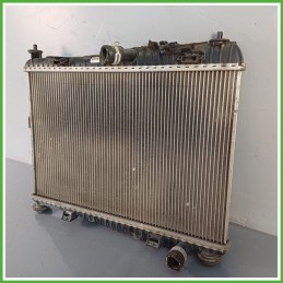 Radiatore Motore FORD FIESTA CB1 1.4 16V 2029176 RTJA 2008 2013