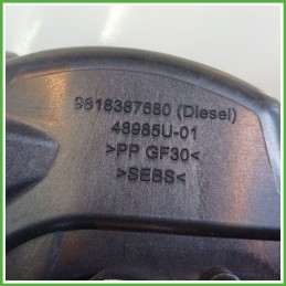 Sportello Carburante PEUGEOT 2008 5 Porte 9818384480 2016 2017