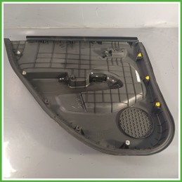 Rivestimento Porta Posteriore Destro DX CHEVROLET (DAEWOO) AVEO T300 1.3 95146891 2011