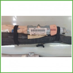 Airbag Guidatore Destro DX CITROEN C3 A51 1.4 9677506880 2009 2013 DM DALPHIMETAL 34125782A