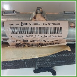 Airbag Guidatore Destro DX CITROEN C3 A51 1.4 9677506880 2009 2013 DM DALPHIMETAL 34125782A