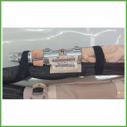 Airbag Laterale Sinistro SX CITROEN C3 A51 1.4 9677506980 2009 2013 DM DALPHIMETAL 34125781A