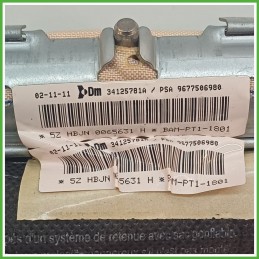 Airbag Laterale Sinistro SX CITROEN C3 A51 1.4 9677506980 2009 2013 DM DALPHIMETAL 34125781A