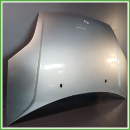 Cofano Motore GRIGIO CHIARO MOONDUST SILVER MET FORD FIESTA CBK 2002 2005 Berlina Originale Usato