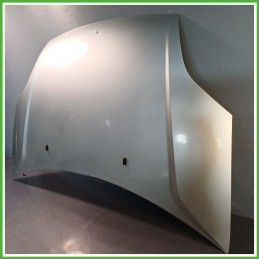 Cofano Motore GRIGIO CHIARO MOONDUST SILVER MET FORD FIESTA CBK 2002 2005 Berlina Originale Usato