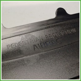 Airbag Passeggero Destro DX VOLVO V40 Cross Country 31291367 2012 2018 AUTOLIV 1T01133380036
