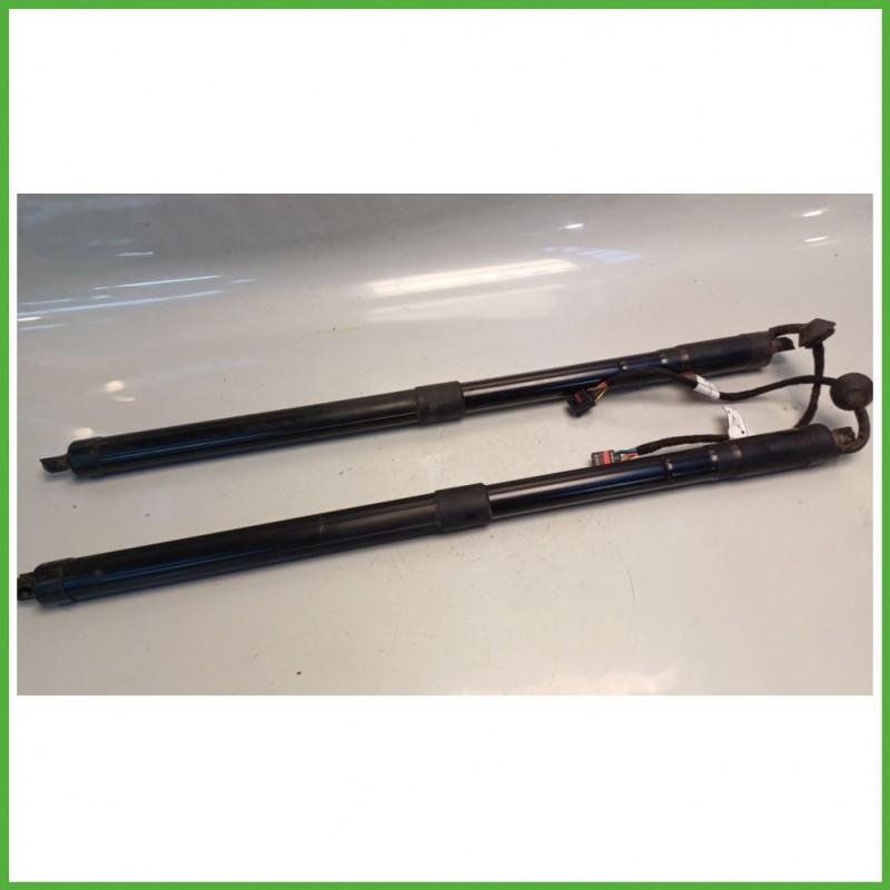Ammortizzatori Portellone Posteriore VOLVO XC60 32384407 2021