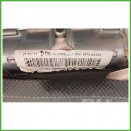 Airbag Laterale Destro DX CITROEN DS3 1.6 8216ZR 2009 2011 DM DALPHIMETAL CC103051XX