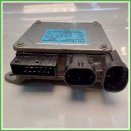 Centralina Sterzo KOYO 69000000498/A CITROEN C3 1a Serie 1.4 400687 2002 2005