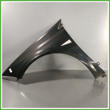 Parafango Anteriore Sinistra SX RENAULT MEGANE 2a Serie Station Wagon 2002 2006 NERO NV676 Originale Usato
