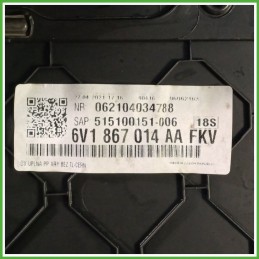 Rivestimento Porta Anteriore Destro DX SKODA FABIA NJ 1.0 Twin Spark 6V0867012 2018 2021