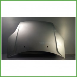 Cofano Motore GRIGIO FORD FIESTA CBK 2002 2005 Berlina Originale Usato