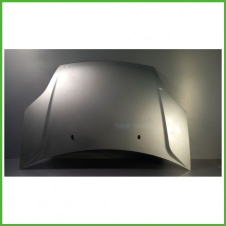 Cofano Motore GRIGIO FORD FIESTA CBK 2002 2005 Berlina Originale Usato