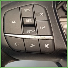 Volante Sterzo FORD FOCUS CGE 2523817 2018