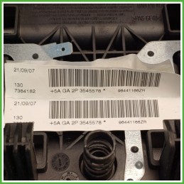 Airbag Guidatore Sinistro SX PEUGEOT 206 1.4 4112ER 1998 2009 AUTOLIV 5AGA2P