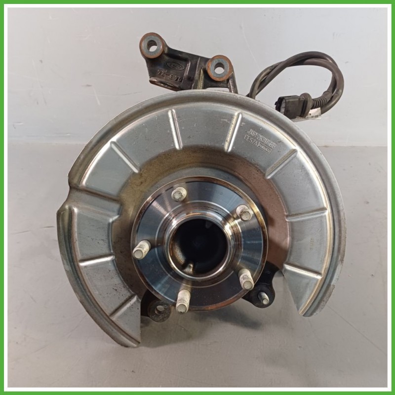 Fusello Posteriore Sinistro SX FORD FOCUS CGE 2479370 2018 FORD 2479370