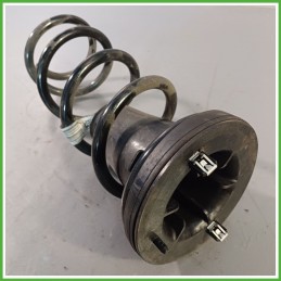 Molla Posteriore FORD FOCUS CGE 2351186 2018 FOMOCO JX61-5560-XJB
