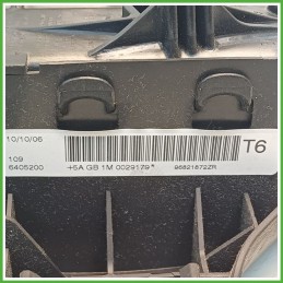Airbag Guidatore Sinistro SX PEUGEOT 307 1.6 16V 4112HW 2005 2008 AUTOLIV