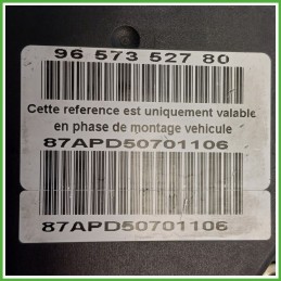 Centralina ABS Modulo Pompa BOSCH 0265800395 4541J1 PEUGEOT 307 Originale Usato