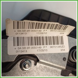 Airbag Guidatore Sinistro SX PEUGEOT 206 Plus 1.4 4112PK 2009 AUTOLIV