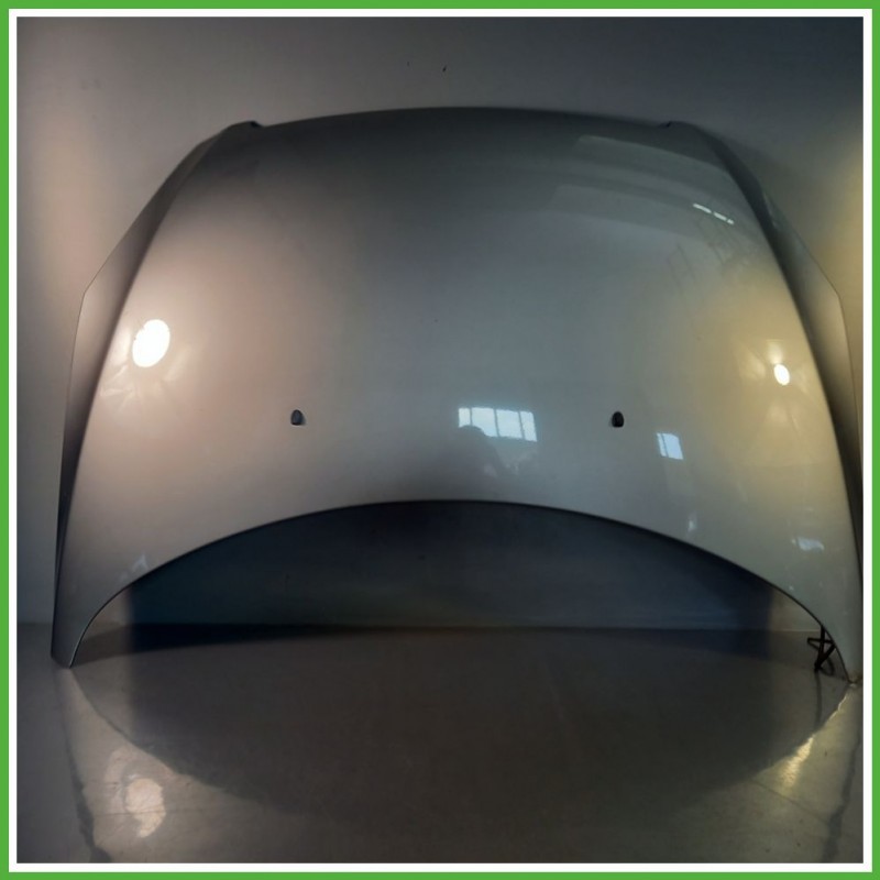Cofano Motore GRIGIO ALLUMINIO EZR PEUGEOT 307 2001 2006 Station Wagon Originale Usato