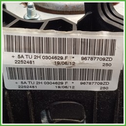 Airbag Guidatore Sinistro SX CITROEN C3 PICASSO 1.6 96787709ZD 2009 2018 AUTOLIV