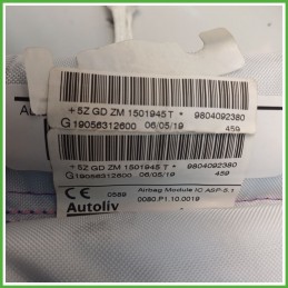 Airbag Laterale Sinistro SX PEUGEOT 208 9804092380 2015 2020 AUTOLIV